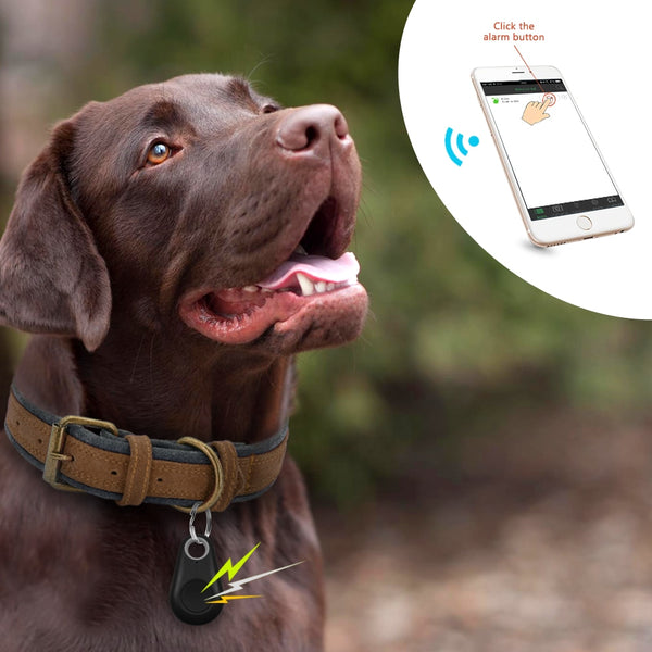 Pet Smart GPS Tracker Mini Anti-Lost