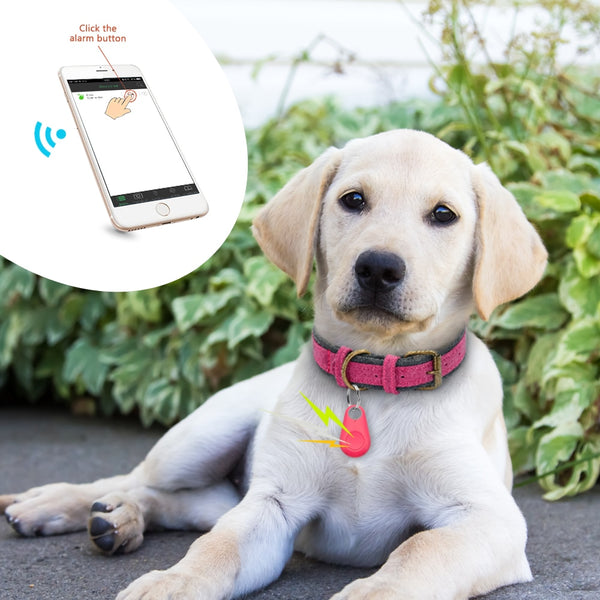 Pet Smart GPS Tracker Mini Anti-Lost