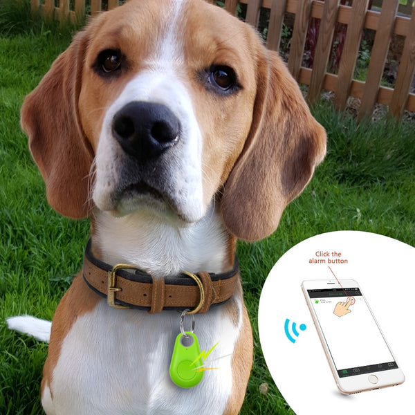 Pet Smart GPS Tracker Mini Anti-Lost