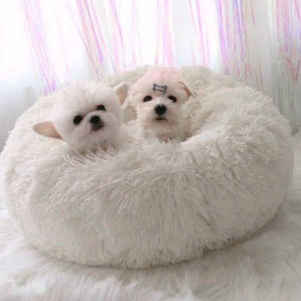 Washable Pet Dog Bed Cat Round