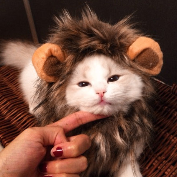 Funny Cute Pet Cat Costume Lion Mane Wig Cap