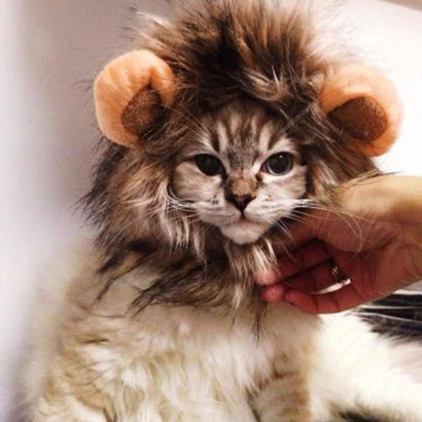 Funny Cute Pet Cat Costume Lion Mane Wig Cap